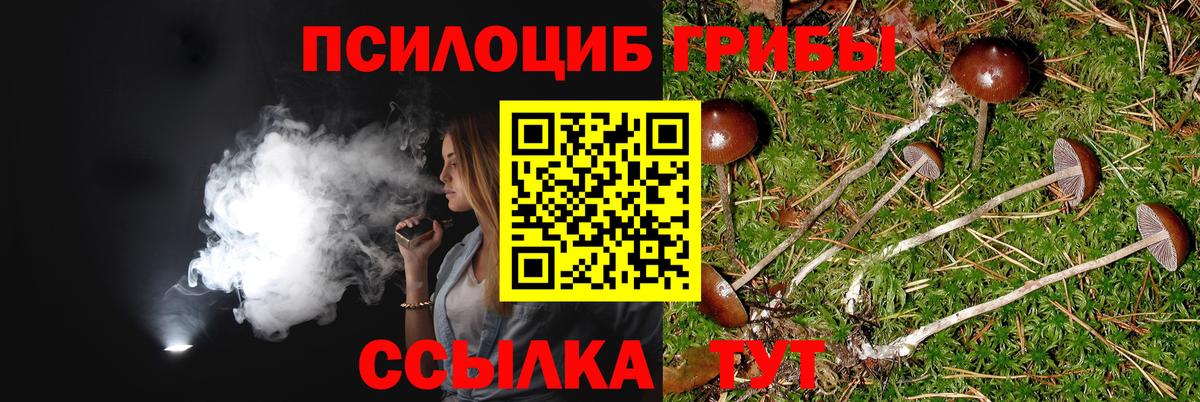 Псилоцибиновые грибы мухоморы Балашов